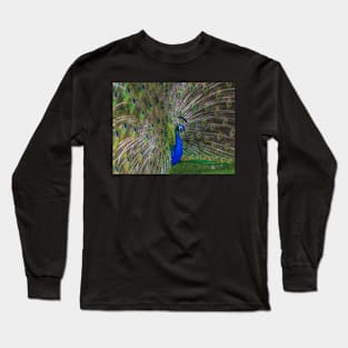 Peacock Long Sleeve T-Shirt